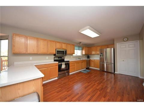 29 Quimby Ct, O'fallon, MO 63366 photo 9