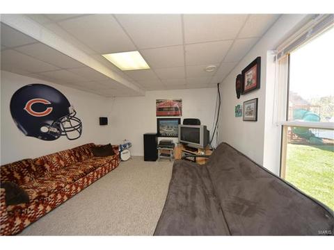 29 Quimby Ct, O'fallon, MO 63366 photo 21
