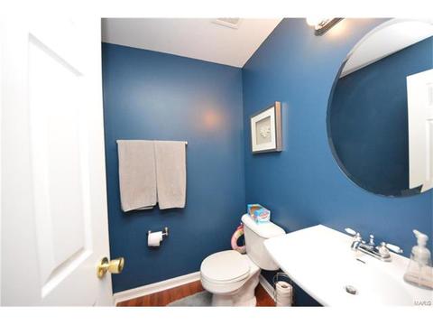 29 Quimby Ct, O'fallon, MO 63366 photo 12