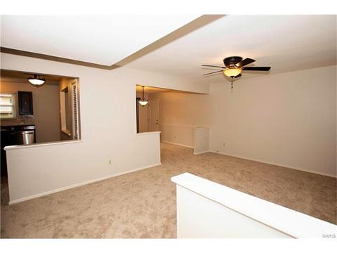 1208 Dorne Dr, Manchester, MO 63021 photo 9