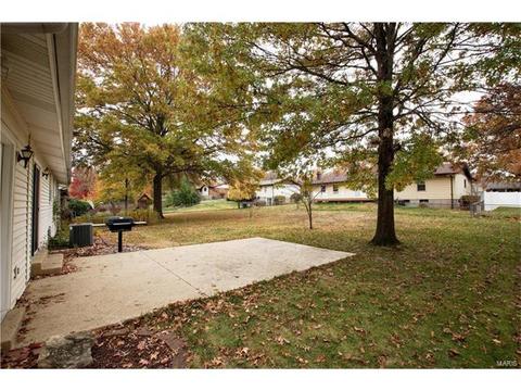 1208 Dorne Dr, Manchester, MO 63021 photo 5