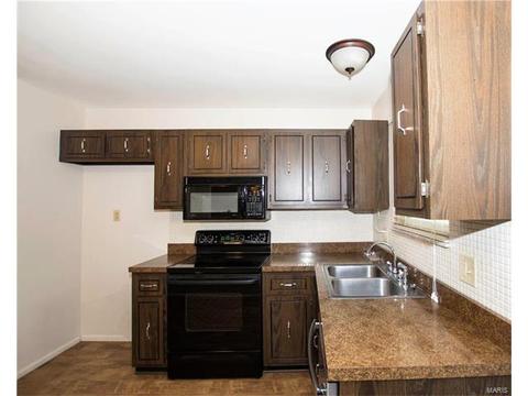 1208 Dorne Dr, Manchester, MO 63021 photo 12