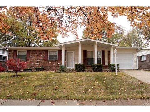 1208 Dorne Dr, Manchester, MO 63021 photo 6