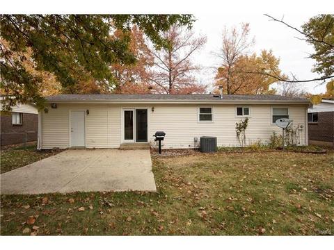 1208 Dorne Dr, Manchester, MO 63021 photo 21