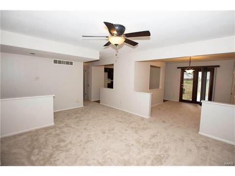 1208 Dorne Dr, Manchester, MO 63021 photo 3