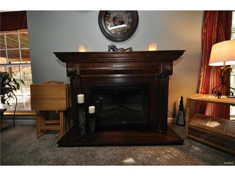 334 Saint Gemma Dr, O'fallon, MO 63366 photo 29