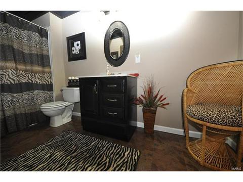 334 Saint Gemma Dr, O'fallon, MO 63366 photo 28