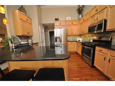 334 Saint Gemma Dr, O'fallon, MO 63366 photo 12