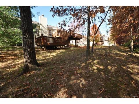 334 Saint Gemma Dr, O'fallon, MO 63366 photo 46