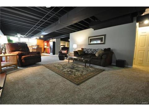 334 Saint Gemma Dr, O'fallon, MO 63366 photo 31