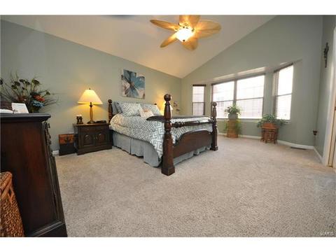 334 Saint Gemma Dr, O'fallon, MO 63366 photo 15