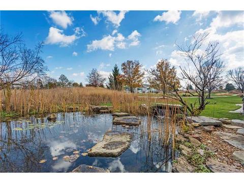 893 Cypress Trl, O'fallon, MO 63368 photo 37