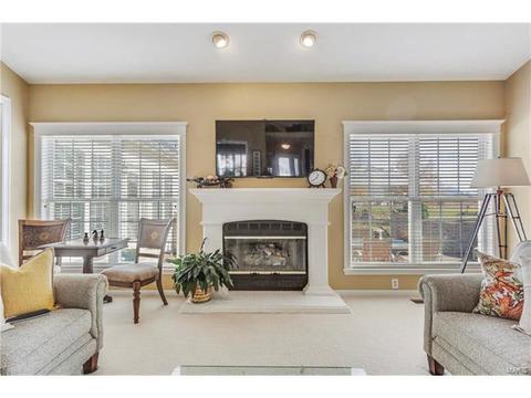 893 Cypress Trl, O'fallon, MO 63368 photo 13