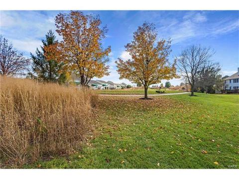 893 Cypress Trl, O'fallon, MO 63368 photo 41