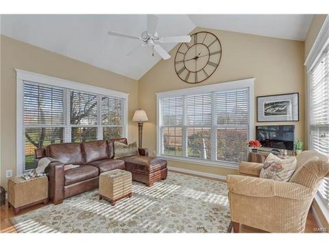 893 Cypress Trl, O'fallon, MO 63368 photo 21