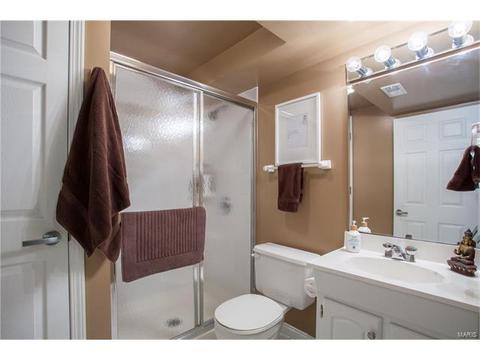 1029 Treetop Village Dr, Ballwin, MO 63021 photo 20