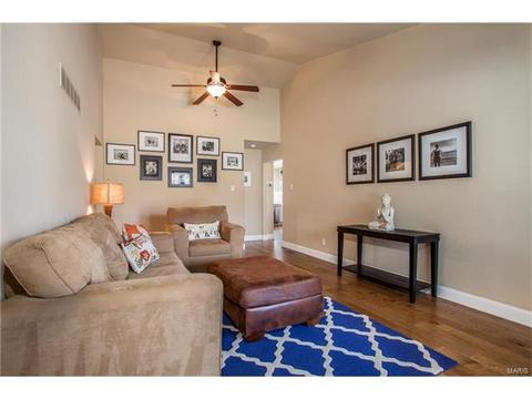 1029 Treetop Village Dr, Ballwin, MO 63021 photo 4