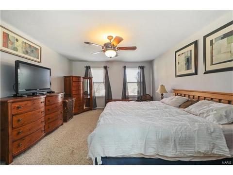 847 Molloy Dr, O'fallon, MO 63366 photo 4