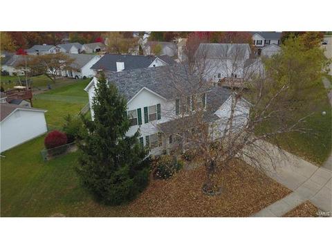 847 Molloy Dr, O'fallon, MO 63366 photo 34