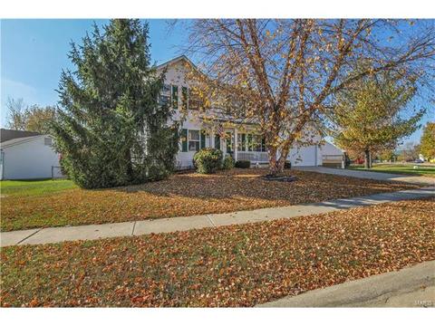 847 Molloy Dr, O'fallon, MO 63366 photo 35