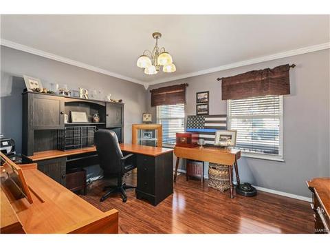 847 Molloy Dr, O'fallon, MO 63366 photo 23