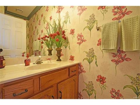 1822 Loehr Estates Ct, Ballwin, MO 63021 photo 20
