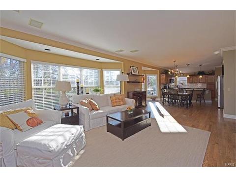 1822 Loehr Estates Ct, Ballwin, MO 63021 photo 19