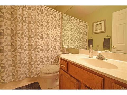 1822 Loehr Estates Ct, Ballwin, MO 63021 photo 35