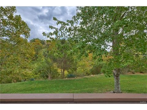 1804 Oconnell Pointe, Wildwood, MO 63011 photo 44