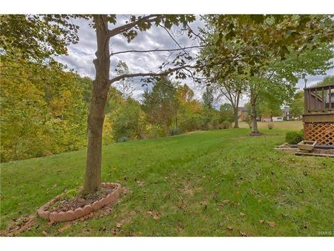 1804 Oconnell Pointe, Wildwood, MO 63011 photo 49