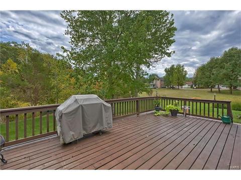 1804 Oconnell Pointe, Wildwood, MO 63011 photo 42
