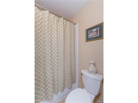 582 Westonridge Ct, Wildwood, MO 63021 photo 36