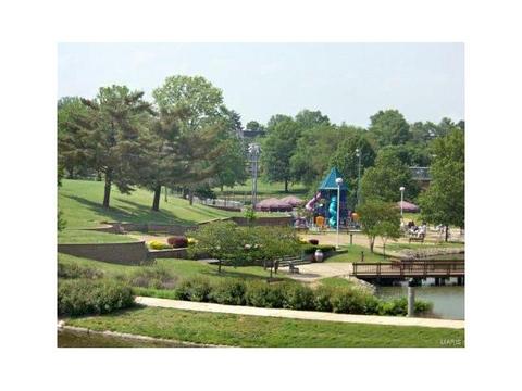 349 Nantucket Dr, Ballwin, MO 63011 photo 69