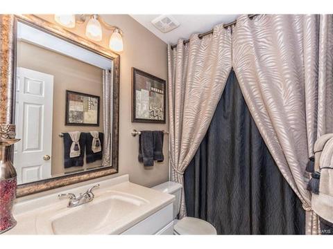 16886 Hickory Crest Dr, Ballwin, MO 63011 photo 16