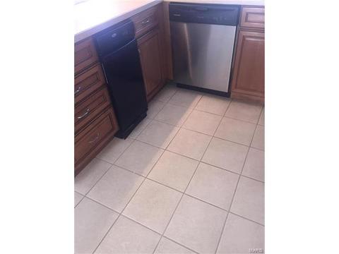 1129 Warm Winds Dr, O'fallon, MO 63366 photo 9