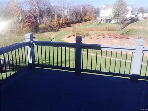 1129 Warm Winds Dr, O'fallon, MO 63366 photo 20