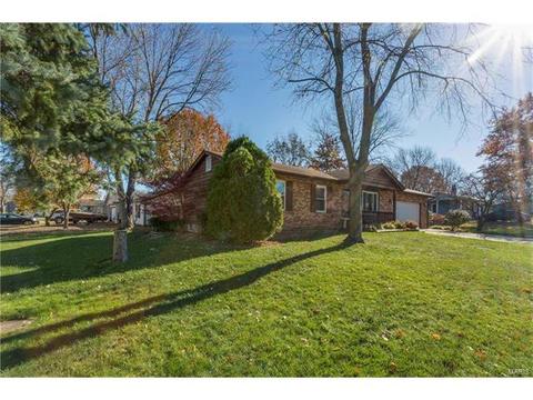 704 Aster Ln, O'fallon, MO 63366 photo 22