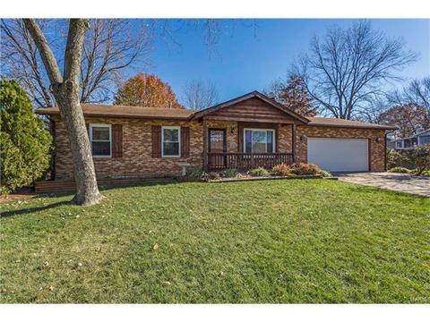 704 Aster Ln, O'fallon, MO 63366 photo 3