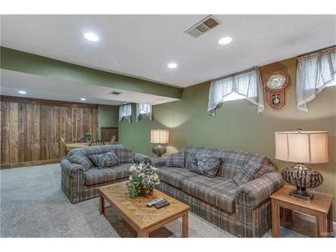 704 Aster Ln, O'fallon, MO 63366 photo 17