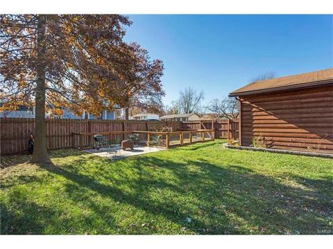 704 Aster Ln, O'fallon, MO 63366 photo 25