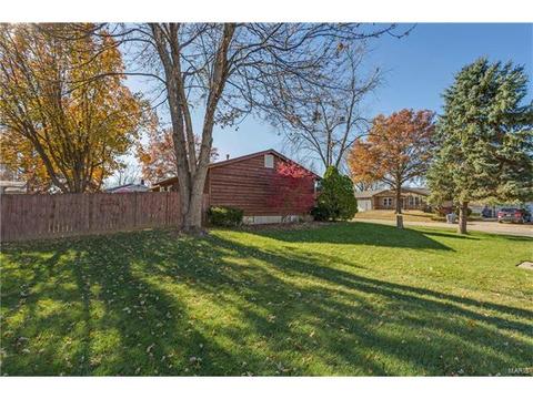 704 Aster Ln, O'fallon, MO 63366 photo 23