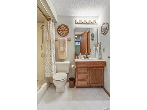704 Aster Ln, O'fallon, MO 63366 photo 20