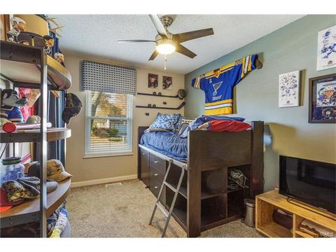 704 Aster Ln, O'fallon, MO 63366 photo 11