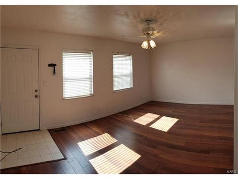 845 Lilybud, Ballwin, MO 63011 photo 4