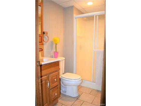 54 White Doe Ct, Eureka, MO 63025 photo 16