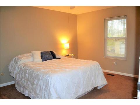 54 White Doe Ct, Eureka, MO 63025 photo 7