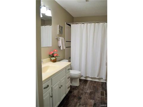 54 White Doe Ct, Eureka, MO 63025 photo 8