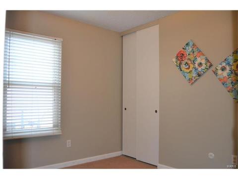 54 White Doe Ct, Eureka, MO 63025 photo 10