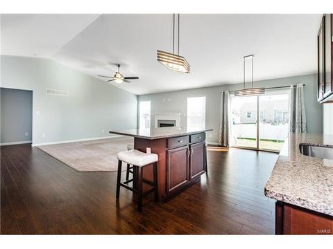 414 Shady River Dr, O'fallon, MO 63366 photo 3