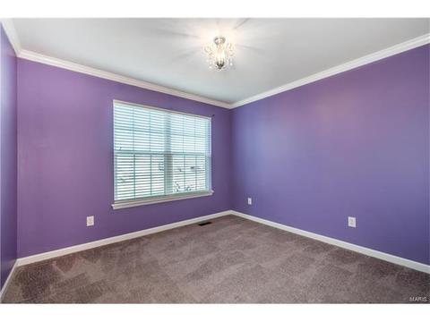 414 Shady River Dr, O'fallon, MO 63366 photo 14